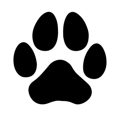 A3